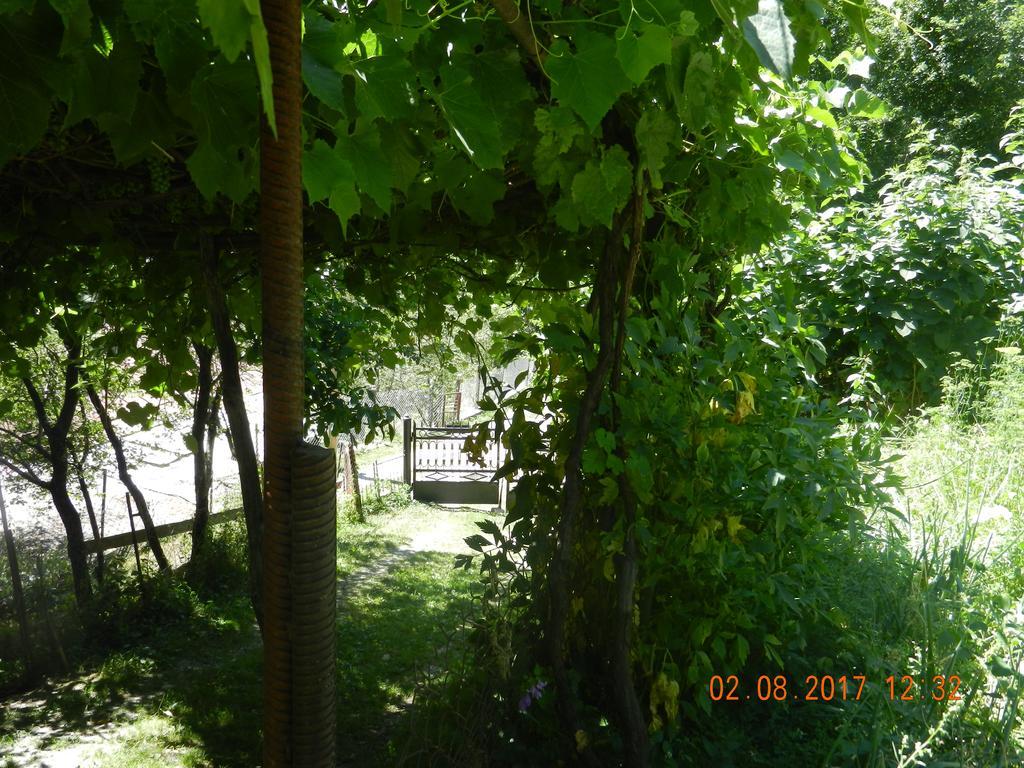 Marina Chartolani'S Guest House Местия Екстериор снимка